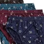 Cotton Printed Briefs for Women, Pack of 4 