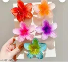 Plastic Hair Clips for Women 