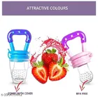 Teether with Fruit Nibbler for Baby 