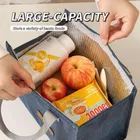 Premium BlueThermal Lunch Bag for Office & Travel