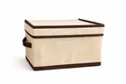Craft Bazar Multipurpose Foldable Fabric Storage Box with Lid & Handles for Clothes, Laundry, Towels Wardrobe and Home Storage Organizer Pack of 1