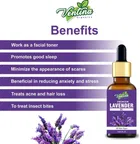 Organics Best Lavender Essential Oil, 100% Natural & Pure, for Hair, Skin, Face 