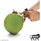 Stainless Steel Coconut Opener 