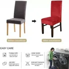 Polycotton Chair Cover 