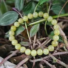 Alloy Bracelets for Women 