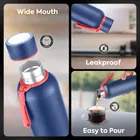 Pexpo Bravo 1000 Stainless Steel Insulated Sigle Wall  Water Bottle with Sipper Cap - 980ml | BPA Free - Denim Blue