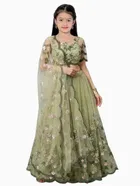 Net Embroidered Semi Stitched Lehenga for Girls 