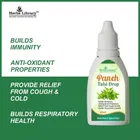 Nutrocopia Panch Tulsi Drops 