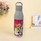 Stainless Steel Printed Water Bottle (Multicolor, 800 ml)