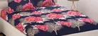 Polycotton Double Bedsheet with 2 Pillow Cover 