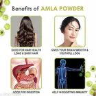Kayaboost 100% Pure and Natural Amla Powder for Hair Mask and Face/Amalaki Powder/Indian gooseberry 