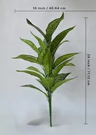 Green Gallery Snake Plant 26 leaves Green