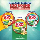Exo राउंड डिश्वाश बार 2X700 g 