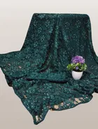 Net Solid Saree for Women 