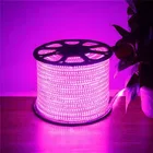 LED Rope Light 