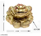 Fengshui Frog Showpieces 